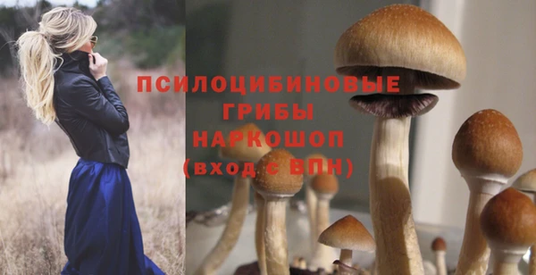 амф Майский