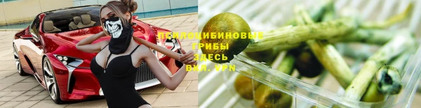 ешки Магас