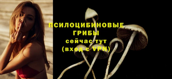 ешки Магас