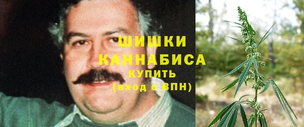 амф Майский