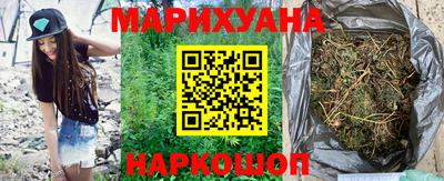 гашик Дубна