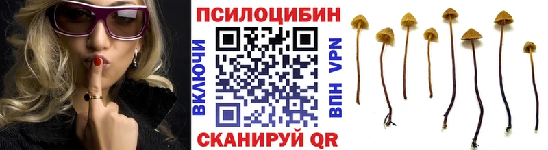 Галлюциногенные грибы GOLDEN TEACHER  Чайковский 