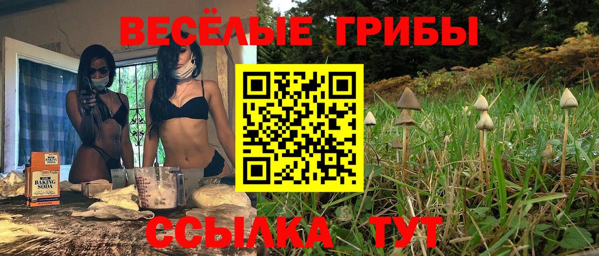 Псилоцибиновые грибы GOLDEN TEACHER Чайковский